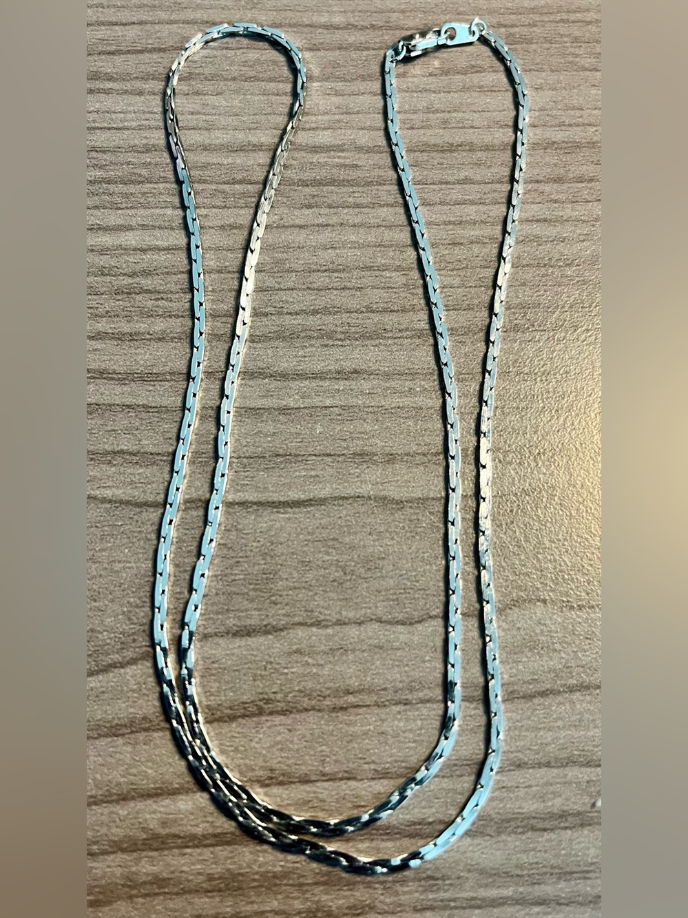 Delicate Silver Necklace